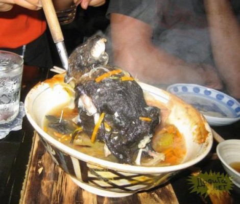 画像あり これは食えないｗｗグロテスク過ぎる庶民の郷土料理 日本の魅力を再発見 黄金の国ジパング